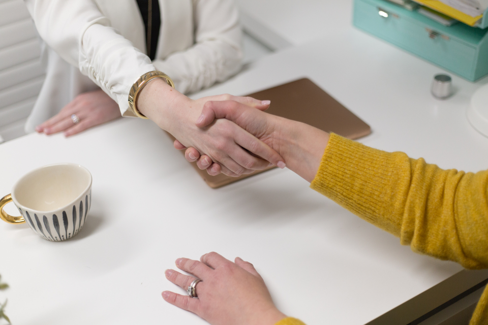 Consultants shaking hands with a client